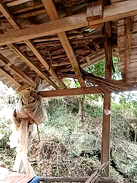 elen8800 online show from 14, 4, 2026