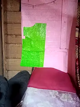 Meo-catwet online show from 28, 3, 2026