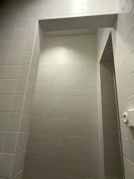 WhiteRose2020 online show from 26, 2, 2026