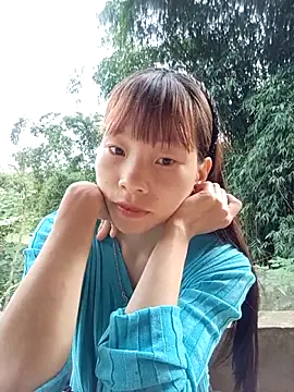 pic8800 online show from 13, 5, 2026