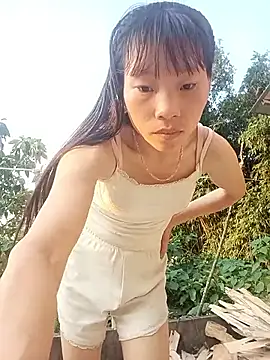 pic8800 online show from 16, 5, 2026