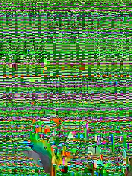 micosilpro online show from 8, 3, 2026