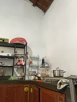 Ivy Trix2 online show from 5, 3, 2026