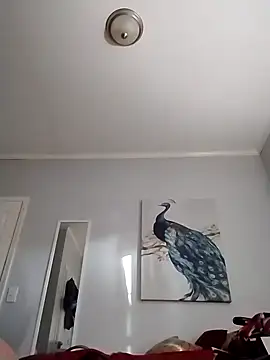 coestet online show from 3, 4, 2026