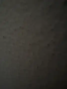 Snapshot of MIABCDZ chatting on 12, 5, 2026 MIABCDZ online show from 12, 5, 2026