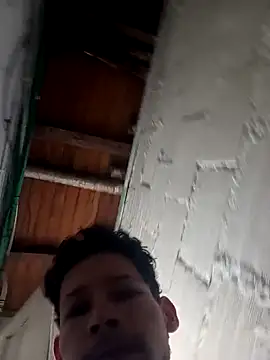 Goriluzdelam online show from 4, 4, 2026