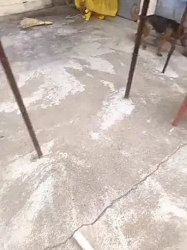 Snapshot of mylove202022 chatting on 15, 3, 2026 mylove202022 online show from 15, 3, 2026