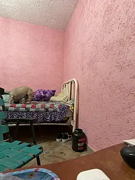 deivchoky online show from 14, 4, 2026