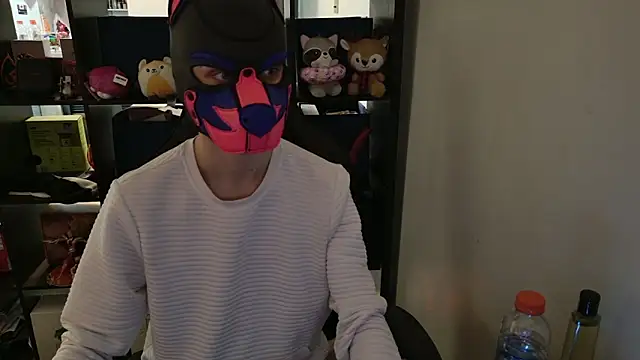MellPUP online show from 7, 4, 2026
