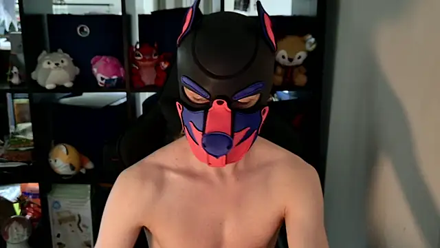 Snapshot of MellPUP chatting on 8, 6, 2026 MellPUP online show from 8, 6, 2026