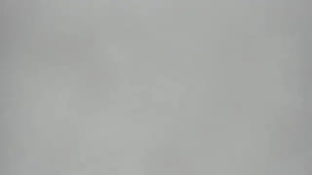 KoralCruz  online show from 24, 3, 2026