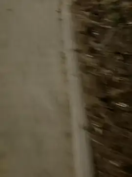 Snapshot of MarekPublicShow chatting on 3, 3, 2026 MarekPublicShow online show from 3, 3, 2026