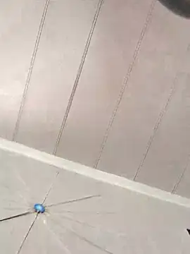 CirclingClass online show from 4, 3, 2025