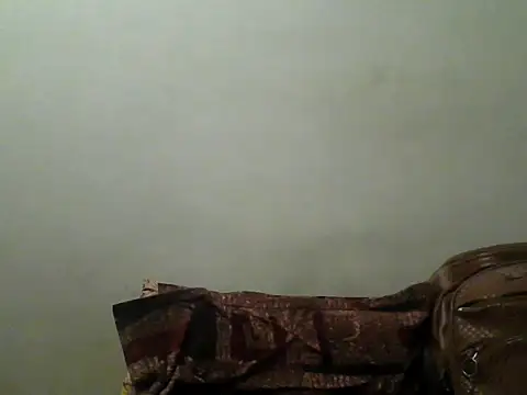 Snapshot of Foxboy65 chatting on 19, 6, 2026 Foxboy65 online show from 19, 6, 2026