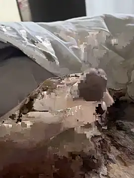 likemonster11 online show from 27, 3, 2026