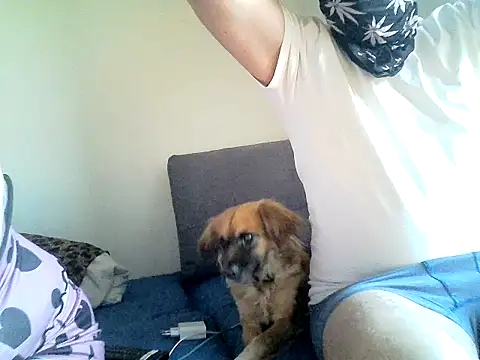 SirNefastus online show from 12, 4, 2026