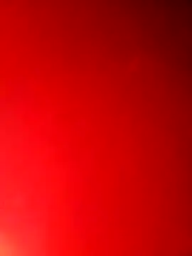 hobgkl online show from 13, 3, 2026