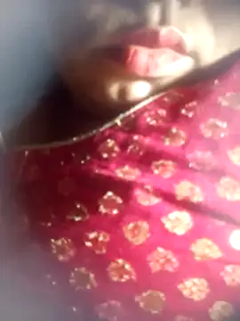 Delhi Patola online show from 3, 6, 2026
