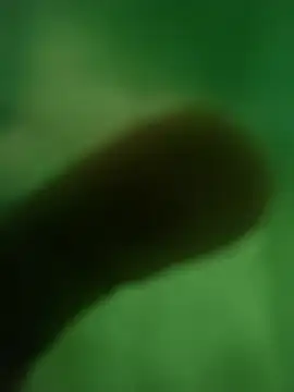 ffgffefgg online show from 12, 3, 2026