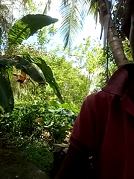 Ashi95 online show from 26, 3, 2026