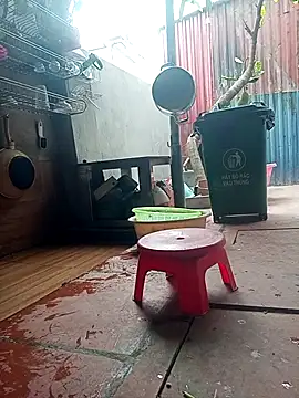 Leylin 1 online show from 23, 3, 2026