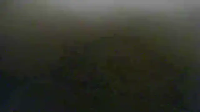 Snapshot of steven_mar43684 chatting on 28, 5, 2026 steven mar43684 online show from 28, 5, 2026