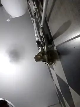 luys23 online show from 4, 4, 2026