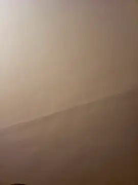 dufatcock online show from 10, 4, 2026