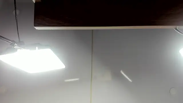 cuttie blondie online show from 21, 3, 2026