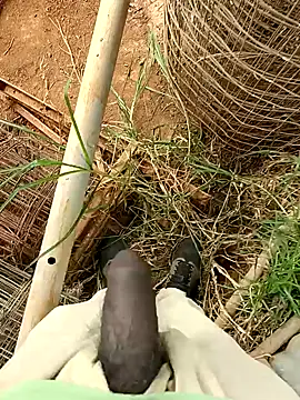 sanju 5418 online show from 5, 4, 2026