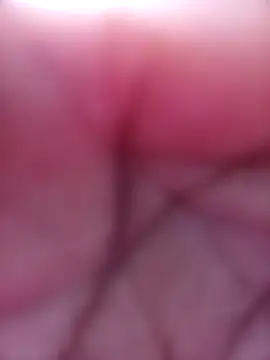 SexyJellyBee online show from 18, 3, 2026