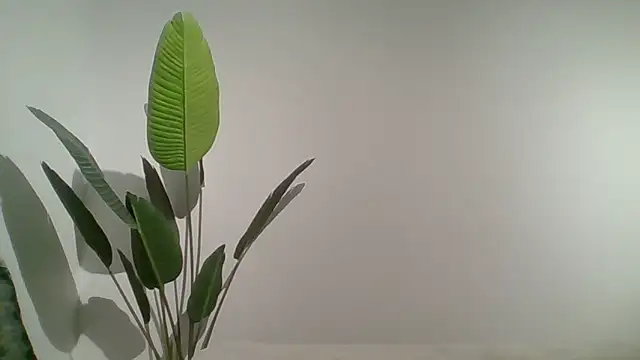 Snapshot of Couple_qc chatting on 25, 5, 2026 Couple qc online show from 25, 5, 2026