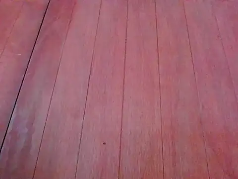 Annisof000 online show from 14, 4, 2026