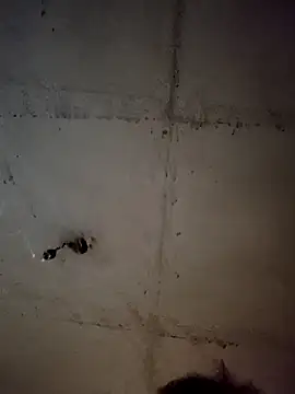 glugo33 online show from 9, 4, 2026