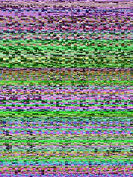 Conny 777 online show from 9, 8, 2026