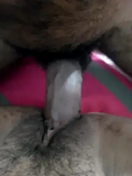 shenuteesha online show from 26, 3, 2026