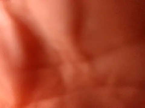 PinkredWad online show from 1, 4, 2026