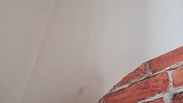 Sueliton2 online show from 28, 3, 2026