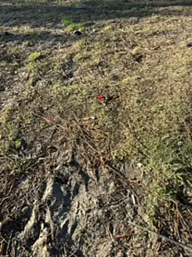 Kadenj92 online show from 4, 4, 2026