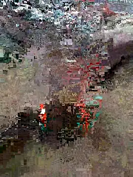 Snapshot of Alimohamed08 chatting on 25, 3, 2026 Alimohamed08 online show from 25, 3, 2026