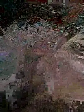 Snapshot of Alimohamed08 chatting on 5, 4, 2026 Alimohamed08 online show from 5, 4, 2026