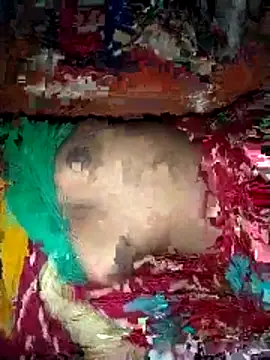 deshi girl 2007 online show from 16, 4, 2026