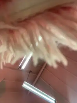 Victoria Vega   online show from 17, 4, 2026