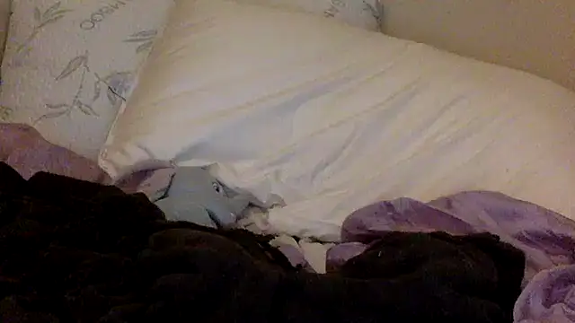 savannabanana online show from 26, 3, 2026