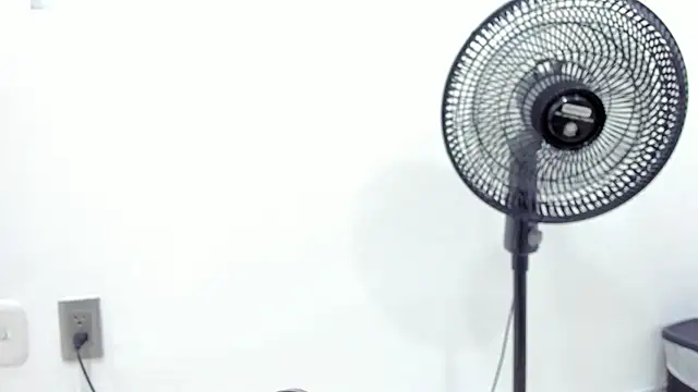 noah chips  online show from 7, 4, 2026