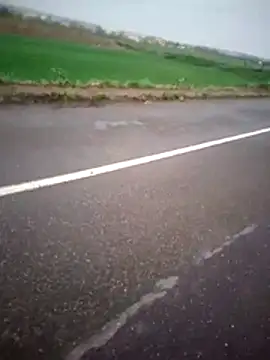 alicancetin11 online show from 2, 4, 2026