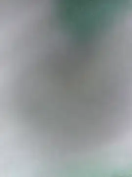 Snapshot of Bristy_BigBoobs chatting on 11, 4, 2026 Bristy BigBoobs online show from 11, 4, 2026