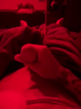 Dstat715 online show from 19, 4, 2026