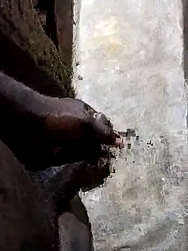 pksd3 online show from 21, 4, 2026