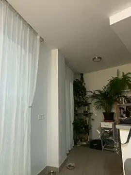 zensorial online show from 23, 4, 2026